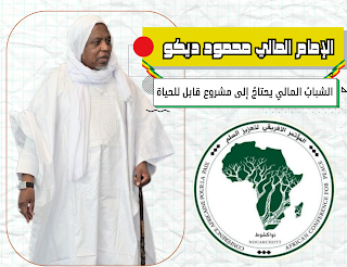 محمود ديكو : الشباب المالي يحتاج إلى مشروع قابل للحياة