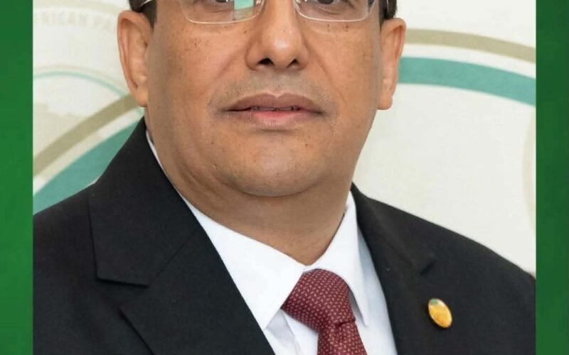 انتخاب جزائري لرئاسة البرلمان الإفريقي خلال دورة استثنائية