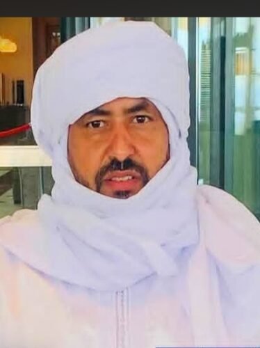 تحركات قيادات أزواد في باريس تثير تساؤلات حول تعقيدات الأزمة في مالي