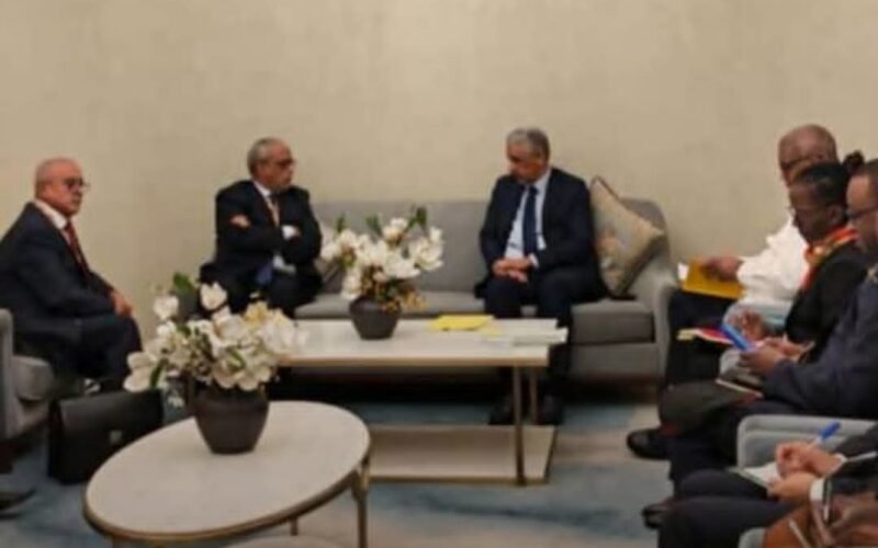 موريتانيا والبنك الإفريقي للتنمية يبحثان توسيع الشراكة الاقتصادية