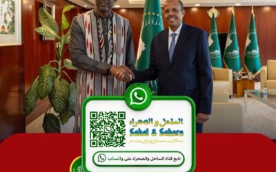 الاتحاد الإفريقي ومالي يتفقان على تعزيز الحوار