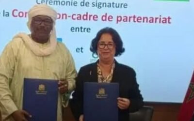 شراكة مغربية نيجيرية لتعزيز تنظيم الإعلام