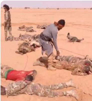 خسائر فادحة للجيش المالي في هجوم قرب أنفيف