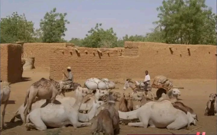 انتقادات لخطوة نيامية لترحيل المحاميد وسط صمت رسمي