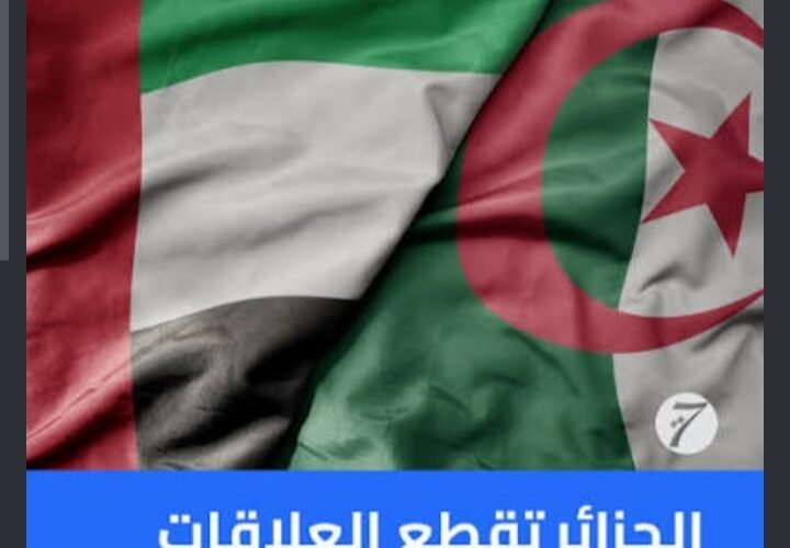 الجزائر تقطع علاقاتها مع الإمارات.. وقرقاش يرد: «الدبلوماسية لا تُدار بالألغاز»