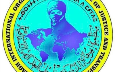 مقتل 13 مدنياً في غارة بطائرة مسيّرة قرب تمبكتو
