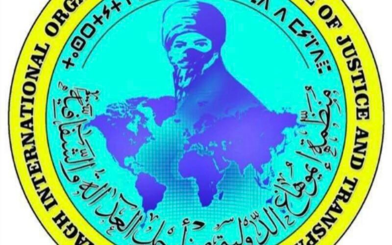 مقتل 13 مدنياً في غارة بطائرة مسيّرة قرب تمبكتو