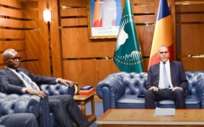 تشاد تستدعي سفير إفريقيا الوسطى احتجاجاً على توغل عسكري وإصابات في تيسي